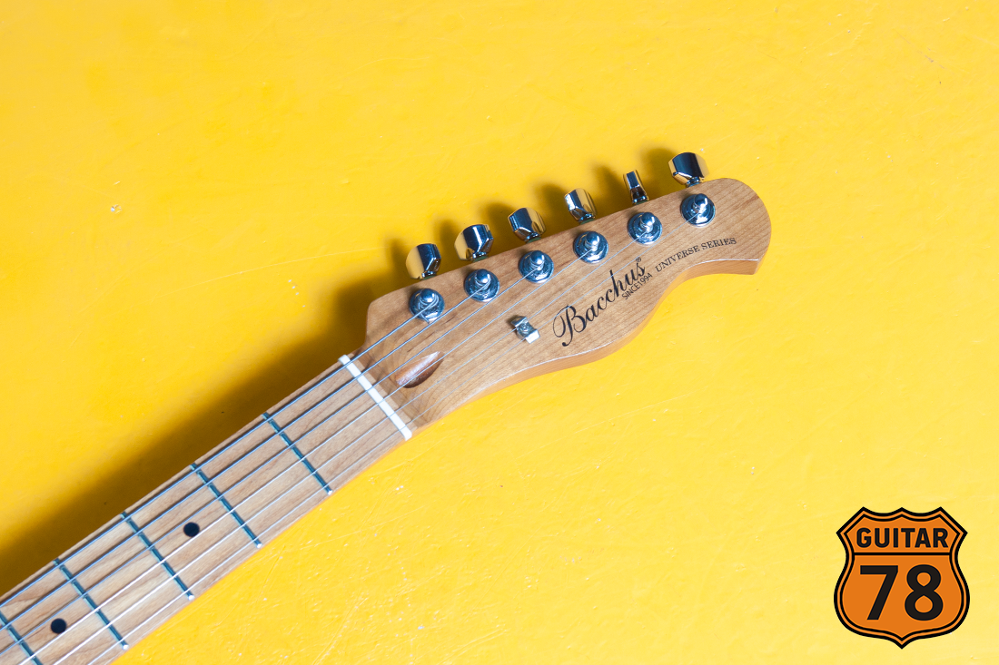 Жирный Bacchus HH Telecaster
