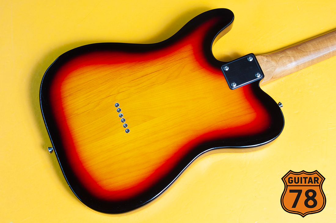 Жирный Bacchus HH Telecaster