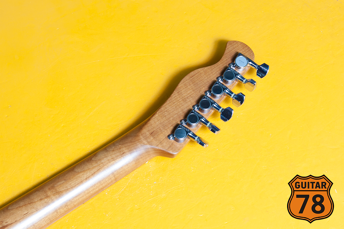 Жирный Bacchus HH Telecaster