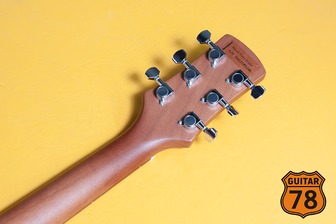 Черный мастеровой Les Paul с тремоло, Россия